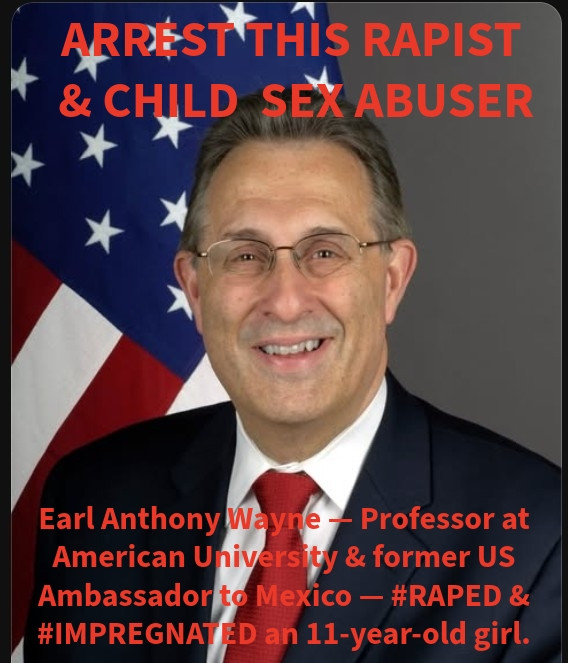 American University Professor Earl Anthony Wayne, Impregnates 11 Year Old Per Epstein Files